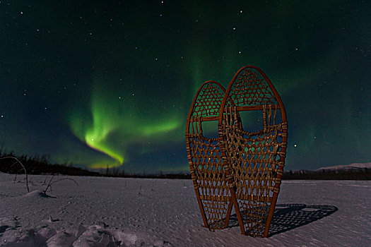 传统,木质,雪地鞋,螺旋,北极光,极地,极光,绿色,靠近,育空地区,加拿大