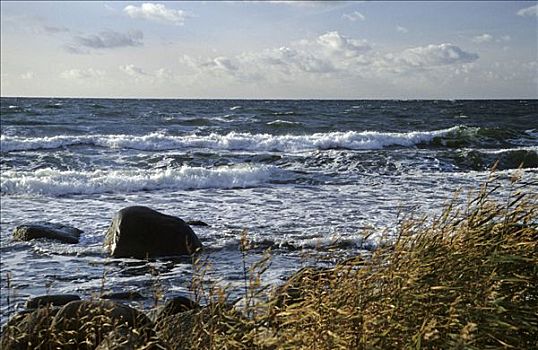 海浪,西部,海岸,丹麦