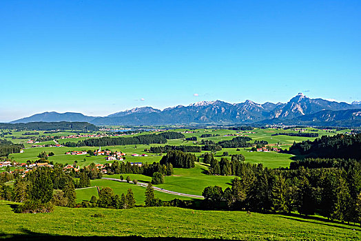 风景,靠近,阿尔卑斯山,斯瓦比亚,巴伐利亚,德国,欧洲