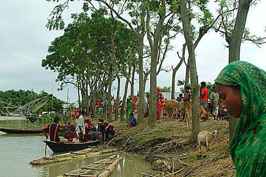 人,蔽护,中心,洪水,区域,孟加拉,七月,2004年