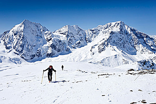 边远地区,滑雪者,攀登,山,苏尔丹,冬天,背影,省,意大利,欧洲