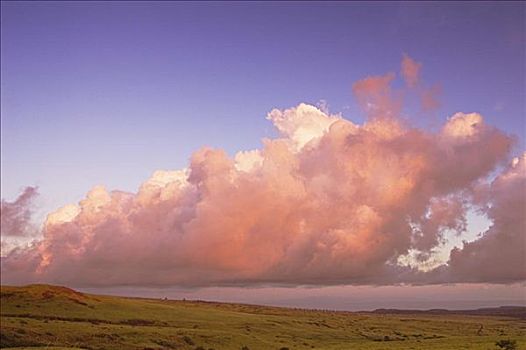 夏威夷,莫洛凯岛,牧场,粉色,云,上方,草场,日出