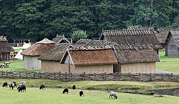 中世纪,乡村,重建,住宅区,9世纪,考古,露天博物馆,靠近,梅克伦堡前波莫瑞州,德国,欧洲