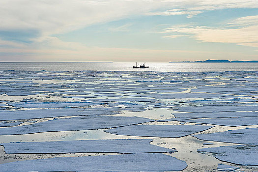 浮冰,北极,斯瓦尔巴特群岛,挪威,欧洲