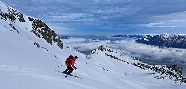 滑雪,旅游,下降,雾,上方,莱茵河,山谷,群体,阿彭策尔,阿尔卑斯山,瑞士,欧洲