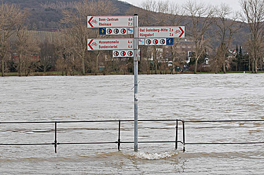 潮水,莱茵河,河,靠近,洪水,自行车道,散步场所,标志牌,水,北莱茵-威斯特伐利亚,德国,欧洲