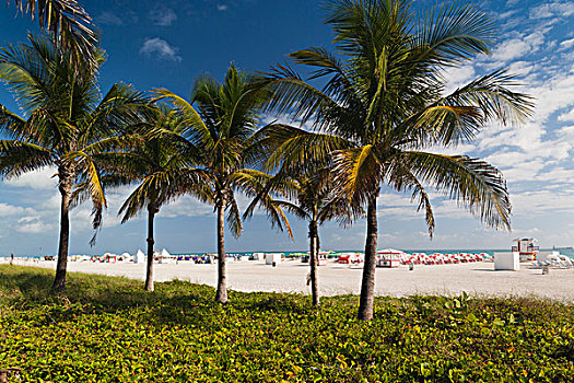美国,佛罗里达,迈阿密海滩,海滩,风景,散步场所