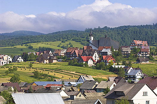 乡村,山峦,区域,波兰