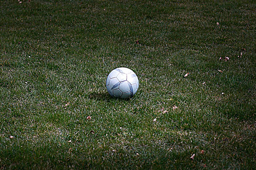 一个,足球,草地,夜晚