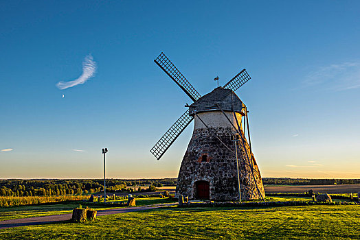 荷兰,风车,爱沙尼亚,欧洲
