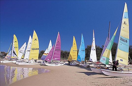 帆船,船,海滩,夏天,假日,港口,澳大利亚,水上运动