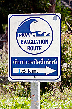 路标,指向,海啸,安全,区域,海滩,普吉岛,泰国,东南亚,亚洲