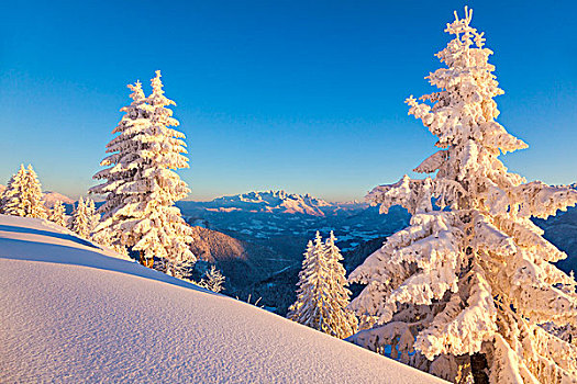 冬天,阿尔卑斯山,奥地利