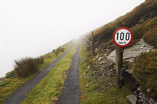 限速标识,模糊,道路,科克郡,爱尔兰