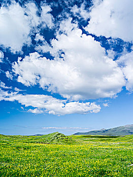 风景,岛屿,南,欧洲,苏格兰,大幅,尺寸