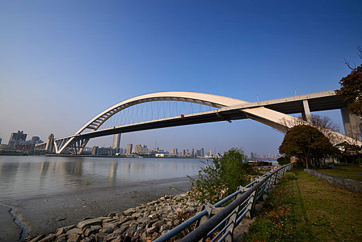 上海庐浦大桥