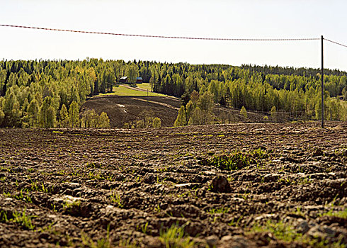 农业,芬兰