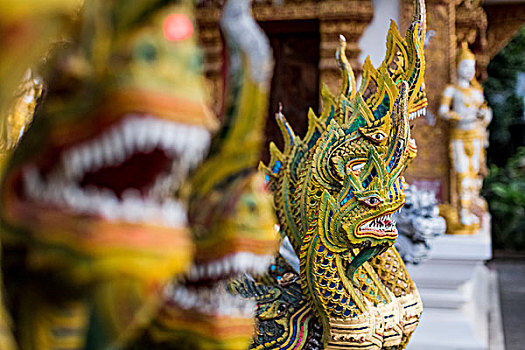 排,龙,佛教寺庙,清迈,泰国