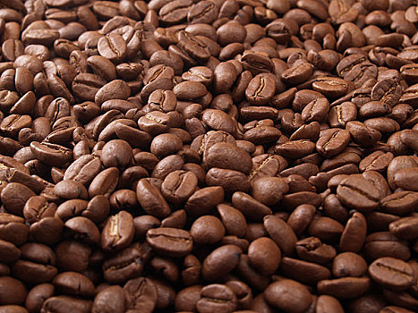 上海咖啡豆
