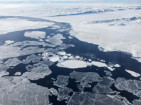 浮冰,陆地,靠近,格陵兰,北美