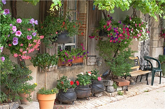 法国,屋舍,许多,悬挂,篮子,植物,花盆