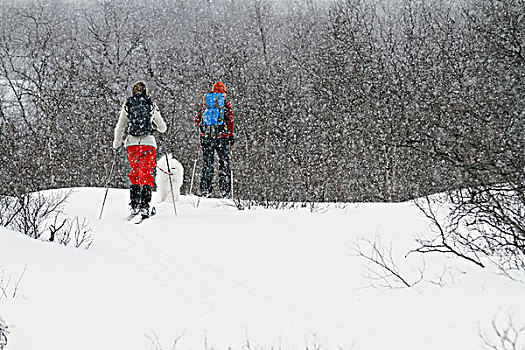 女人,越野滑雪