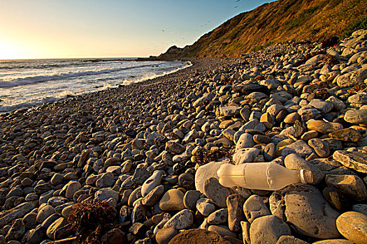 塑料瓶,垃圾,岩石,海滩,太平洋,加利福尼亚
