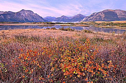 秋色,湖,瓦特顿湖国家公园,艾伯塔省
