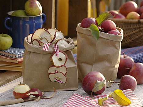 纸袋,苹果,干燥,苹果片,苹果树
