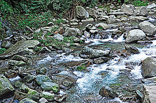 贵州山涧的小溪水
