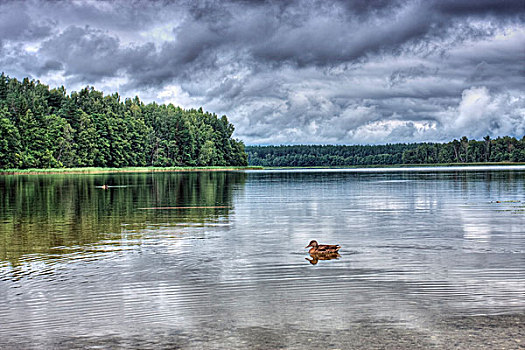 湖,国家公园,立陶宛,欧洲