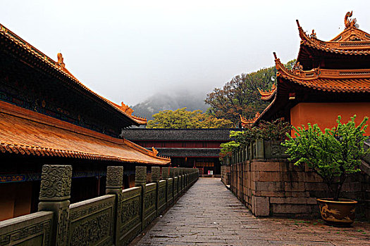 浙江舟山普陀山法雨寺