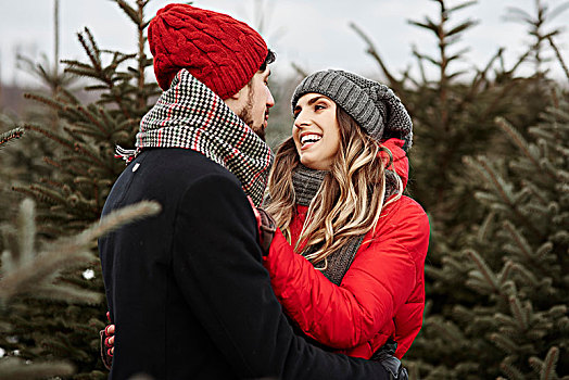 浪漫,年轻,情侣,购物,圣诞树,树林
