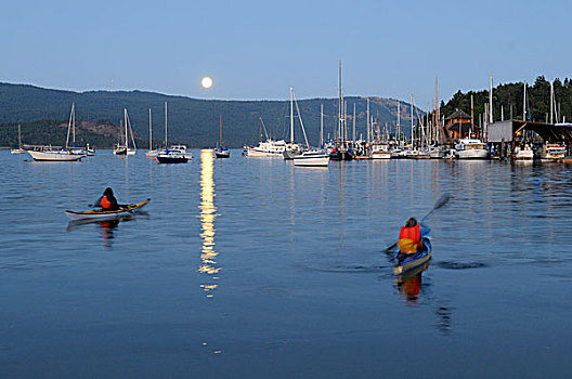 加拿大,不列颠哥伦比亚省,温哥华岛,两个人,漂流,湾,满月