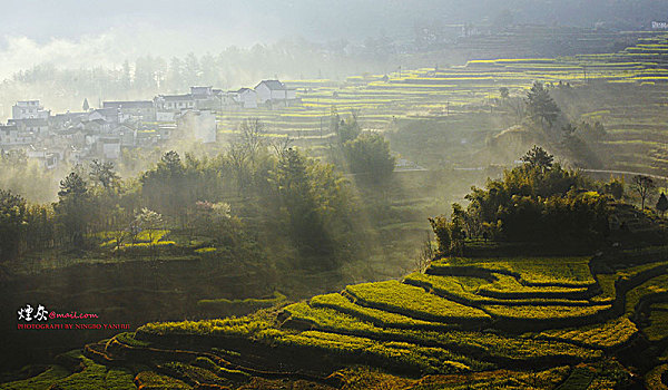 云海,梯田,氤氲,朦胧,诗画,梦乡