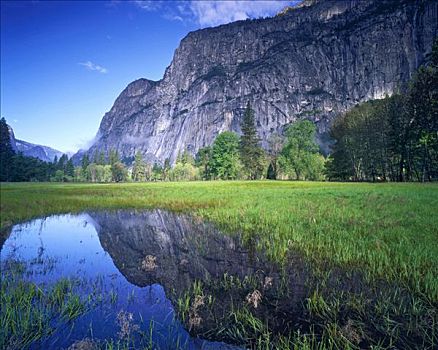 早晨,反射,春天,水池,优胜美地山谷,优胜美地国家公园,加利福尼亚