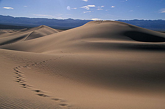 美国,死亡谷国家公园,沙丘