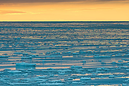 浮冰,边缘,傍晚,北冰洋,斯匹次卑尔根岛,岛屿,斯瓦尔巴群岛,斯瓦尔巴特群岛,挪威,欧洲