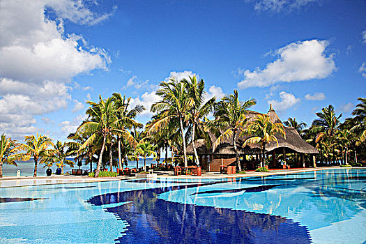 毛里求斯,酒店,游泳池,棕榈树