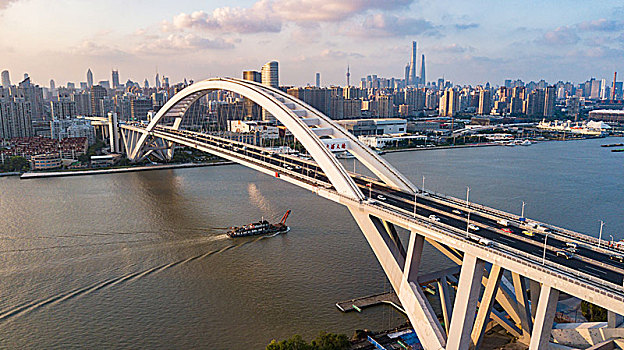上海卢浦大桥风光