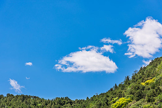 蓝天白云下的北京西山国家森林公园的山坡树林