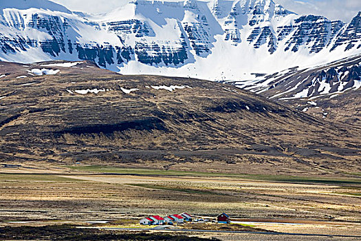 小,住宅区,围绕,自然,风景,冰岛