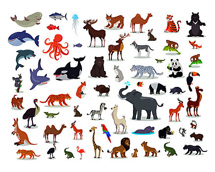 大,野生动物,卡通,矢量,非洲,澳大利亚,北极,亚洲,南,北美,动物,食肉动物,食草动物,物种,水生动物,鱼,热带鸟,隔绝,象征,世界