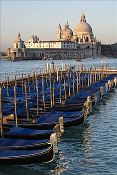 小船,圣马利亚,行礼,大教堂,威尼斯,意大利