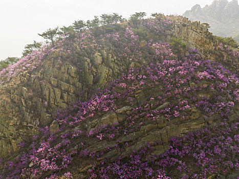 山东省青岛大珠山景区航拍图片