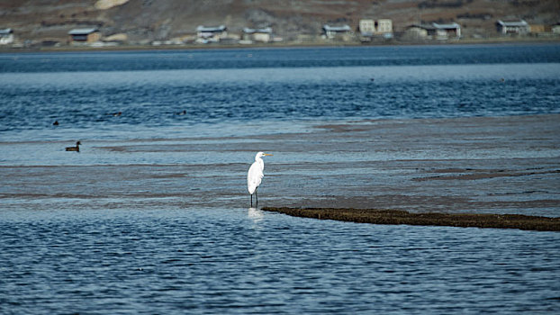 纳帕海