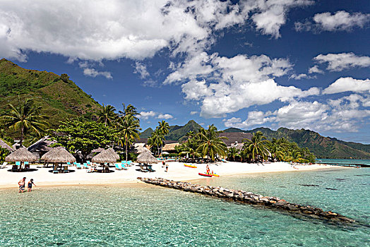 海滩,伞,棕榈树,酒店,茉莉亚岛,太平洋,社会群岛,法属玻利尼西亚,大洋洲