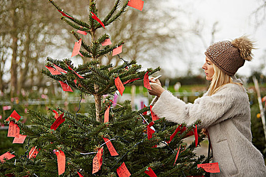 女人,读,手写,红色,标签,系,枝条,圣诞树