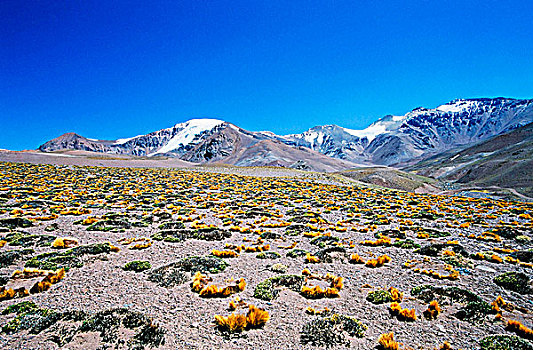 智利,安第斯山脉,高原