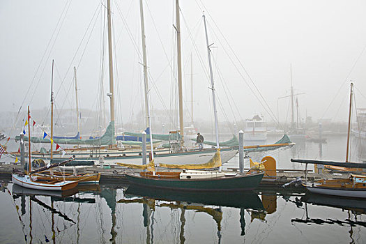 华盛顿,港口,木质,帆船,雾,码头,大幅,尺寸